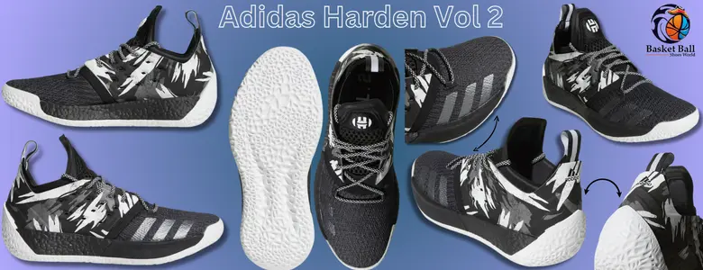 Adidas Harden Vol 2 basketball shoe
