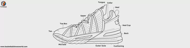 anatomy-of-basketball-shoes
