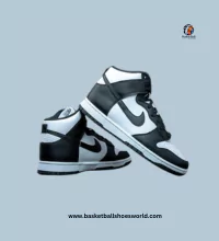 Nike Dunk Hi Retro Basketball shoes