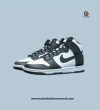 Best Nike Dunk Hi Retro Basketball shoes