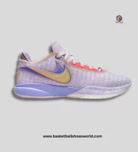 Best Nike Lebron 20 xx Mens basketball shoes