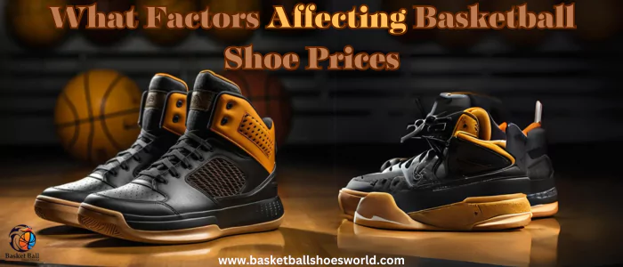 Factors Affecting in increasing the Basketball Shoe Prices
