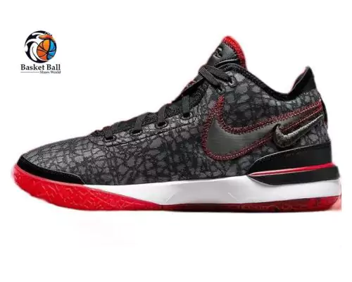 nike-lebron-20 best basketball shoes
